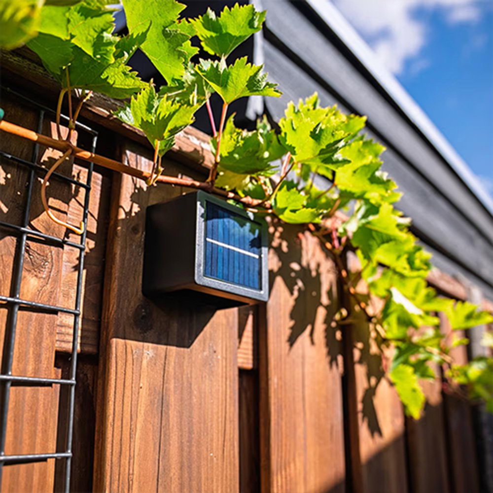 A product image of the Louis Solar wall light.