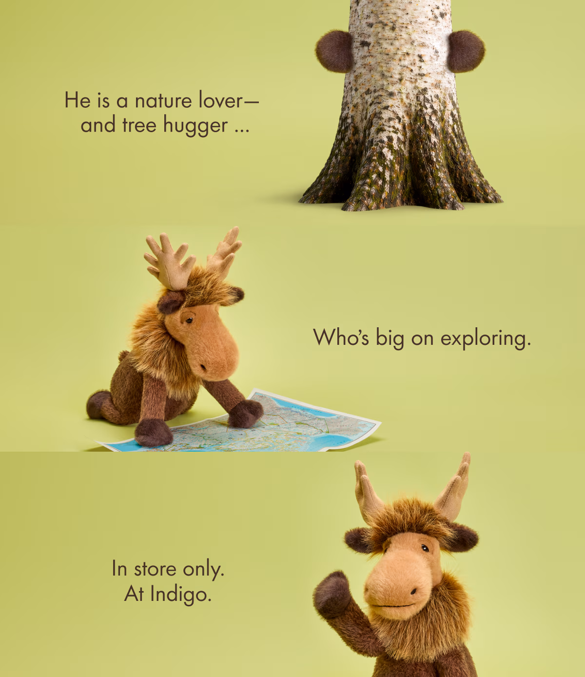 He is a nature lover— and tree hugger