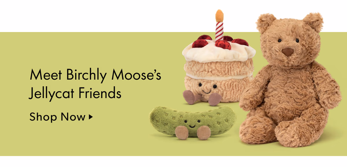 Meet Birchly's Jellycat Friends