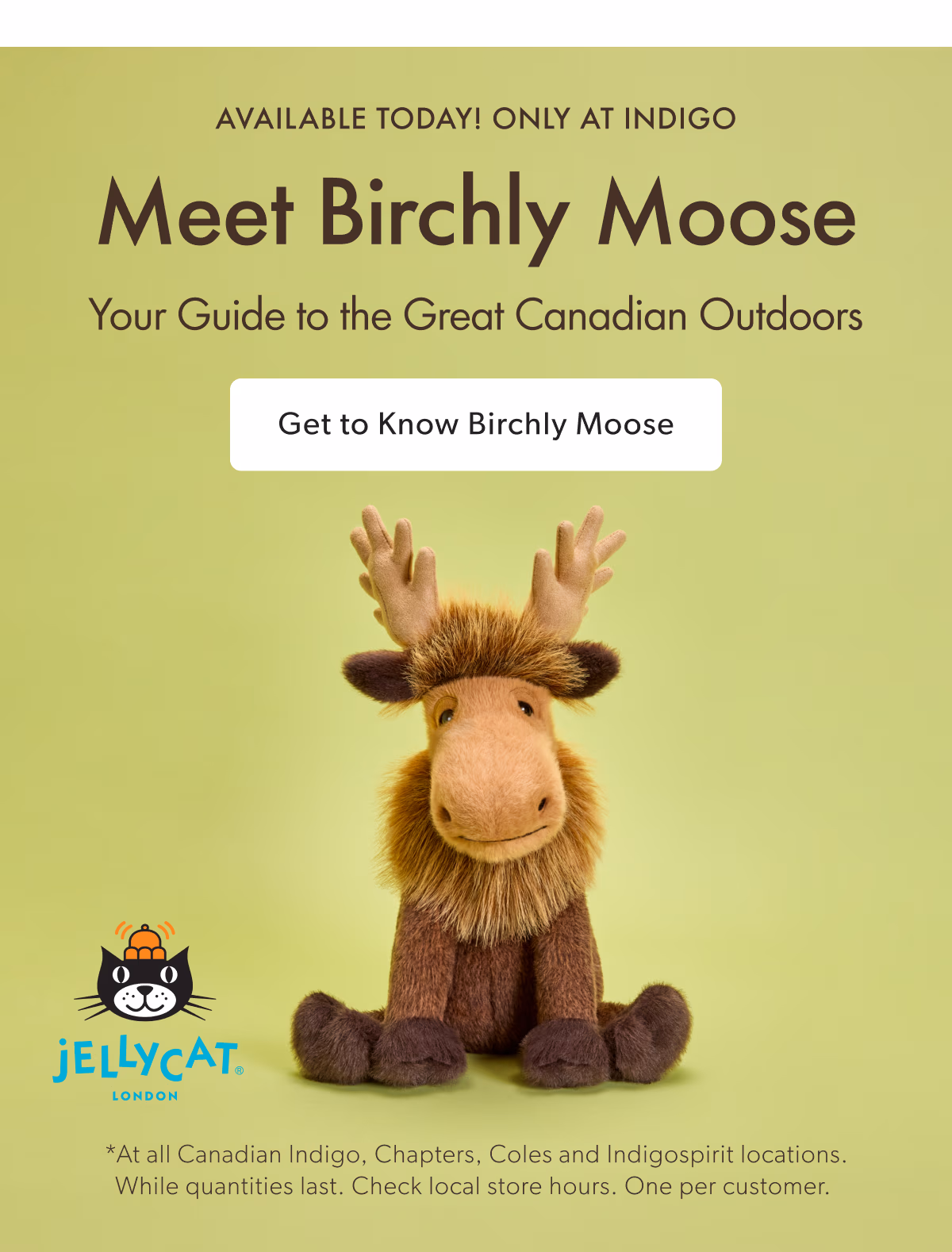 AVAILABLE TODAY! ONLY AT INDIGO | Meet Birchly Moose | Your Guide to the Great Canadian Outdoors