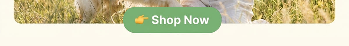 👉 Shop Now