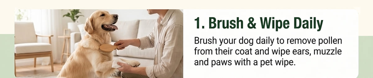 # Tip 1: Brush & Wipe Daily