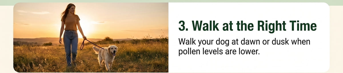 # Tip 3: Walk at the Right Time
