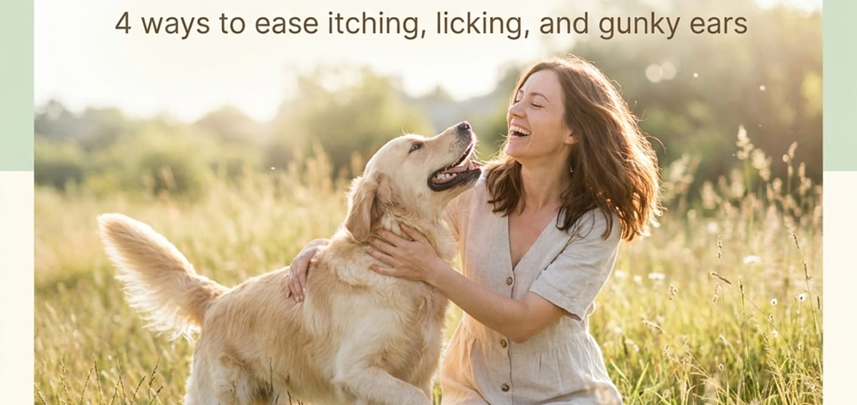 4 ways to ease itching, licking, and gunky ears