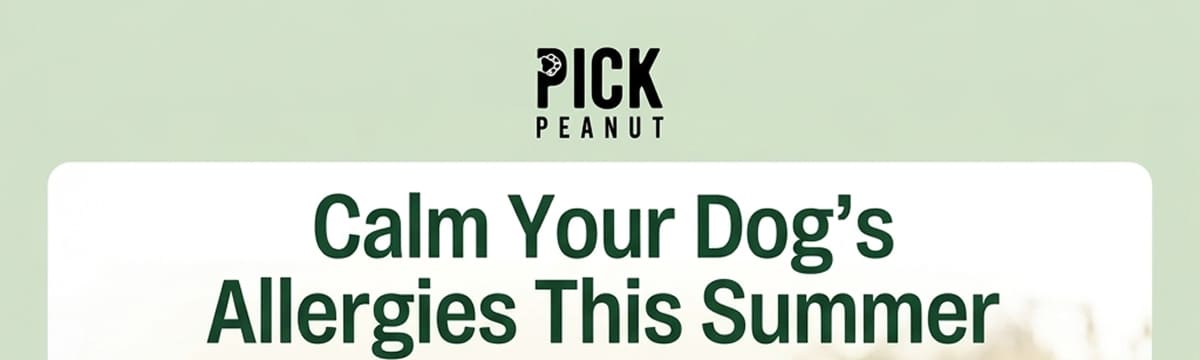 Calm Your Dog’s Allergies This Summer