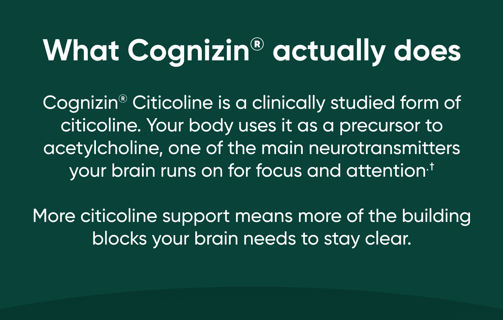 What Cognizin® actually does. Cognizin® Citicoline is a clinically studied form of citicoline. Your body uses it as a precursor to acetylcholine, one of the main neurotransmitters your brain runs on for focus and attention.†  More citicoline support means more of the building blocks your brain needs to stay clear.