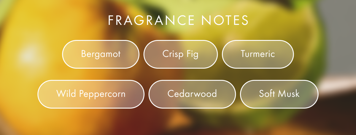 Fresh Take Fragrance notes