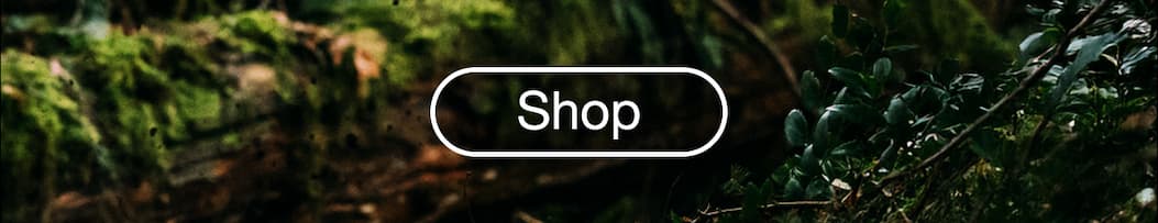 Shop MTB Spring '26 Collection