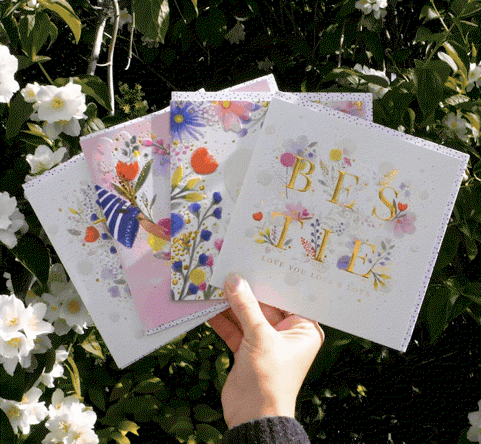Hand holding a selection of new Whistlefish greeting cards featuring colourful floral artwork, luxury finishes and gold foil details.