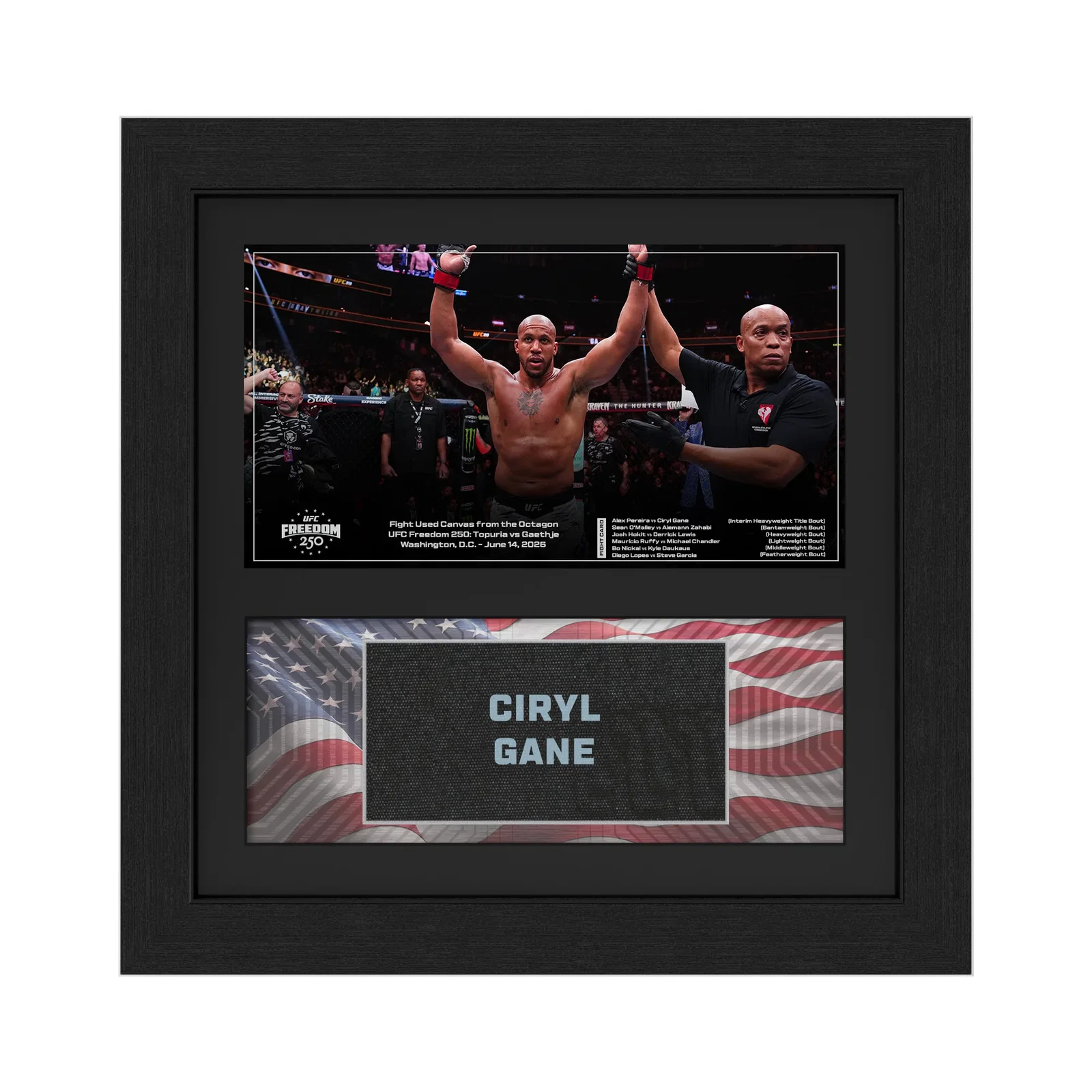 Image of Ciryl Gane<br>Name on Canvas