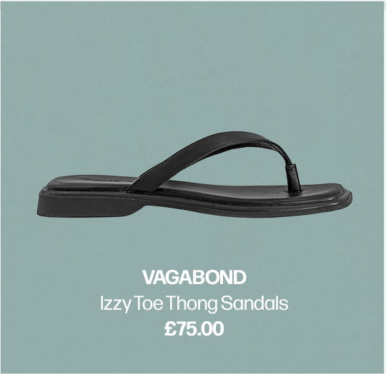 Vagabond Image