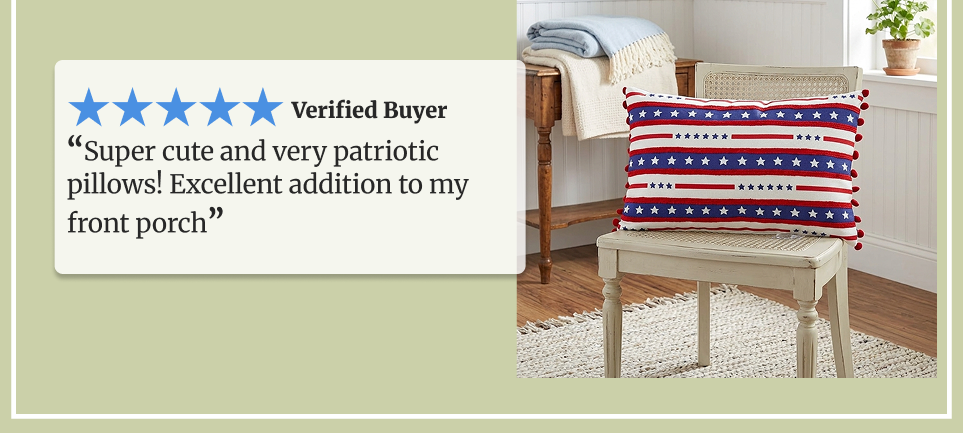 Americana Embroidered Accent Pillow