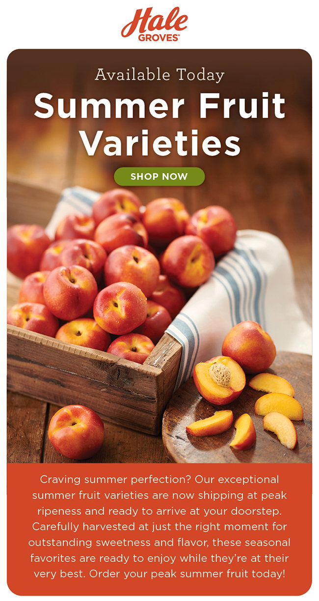 Summer Fruit