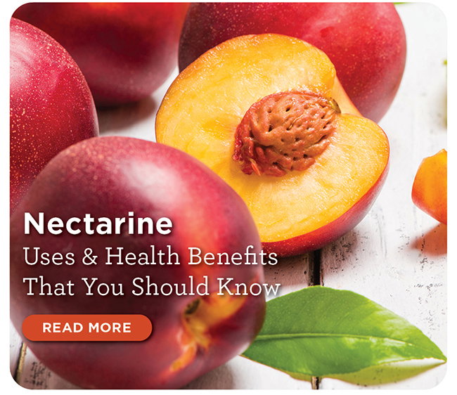 The Best Ways to Enjoy Apricots this Season
