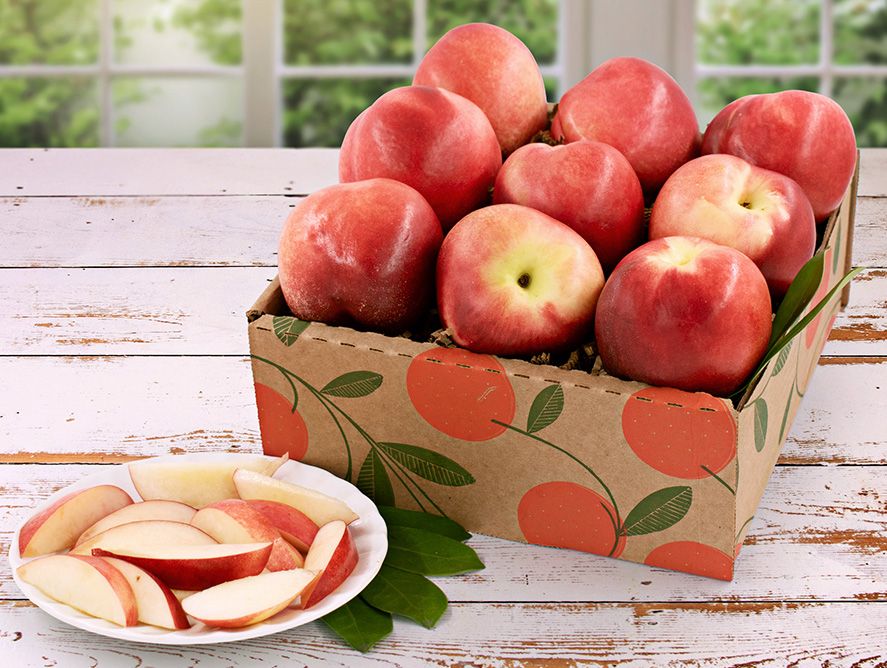 Summer Nectarines