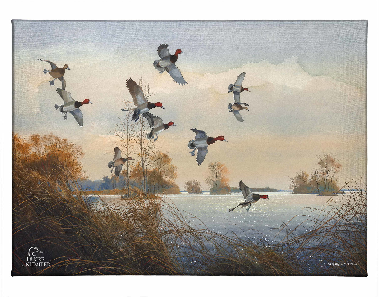 Image of Redheads Redoubt Gallery Wrapped Canvas - Official Ducks Unlimited Art