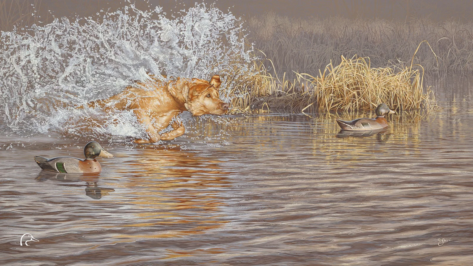 Image of Time to Shine Limited Edition Canvas - Official Ducks Unlimited Art
