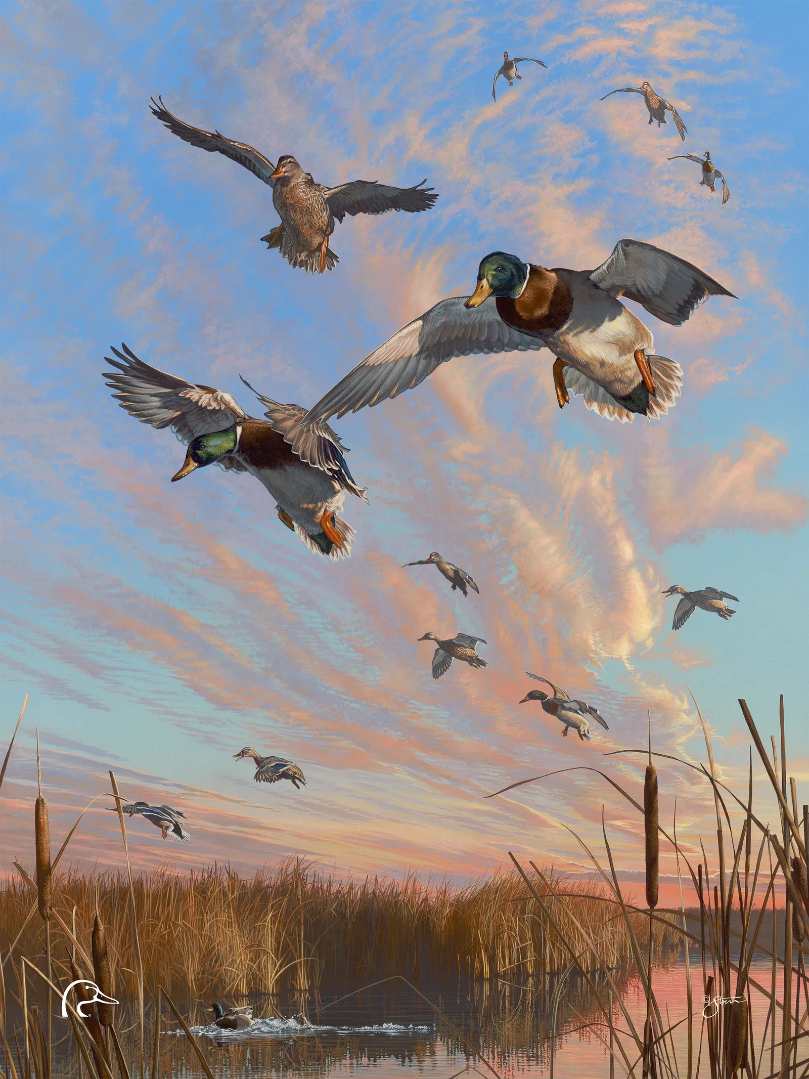 Image of Sunset's Last Minutes Limited Edition Canvas - Official Ducks Unlimited Art