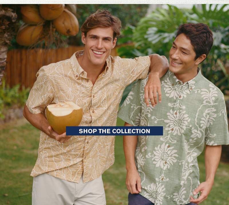 Shop the Collection