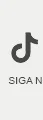 Renner
