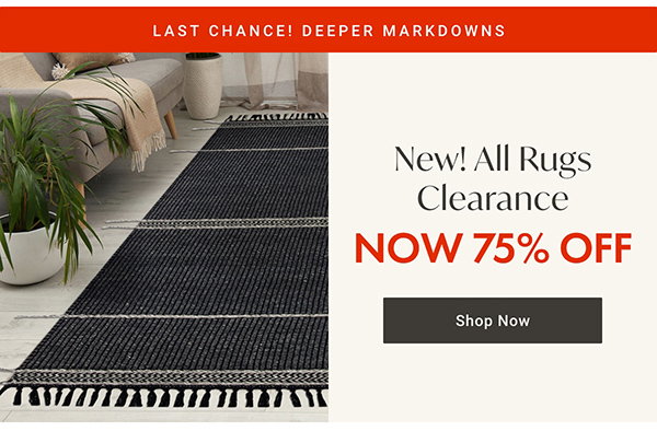 All Rugs Clearance - NOW 75% OFF - Shop Now