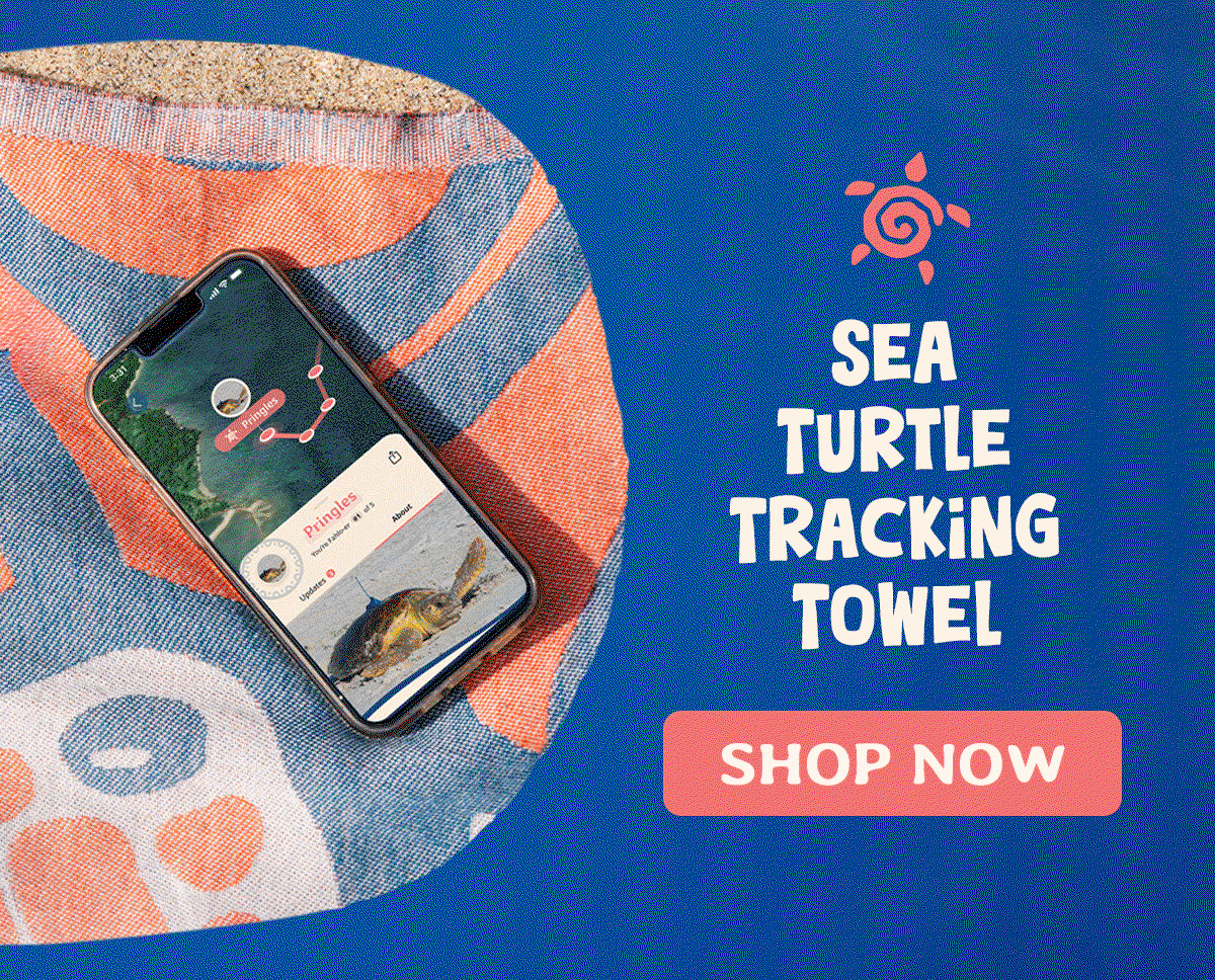 Chill on the beach this summer, and track a sea turtle! Shop now.