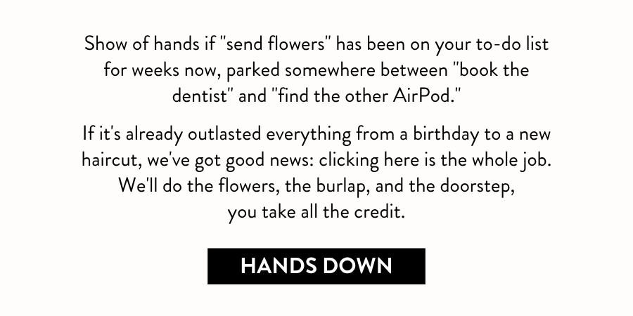 Text reads, “Show of hands if 