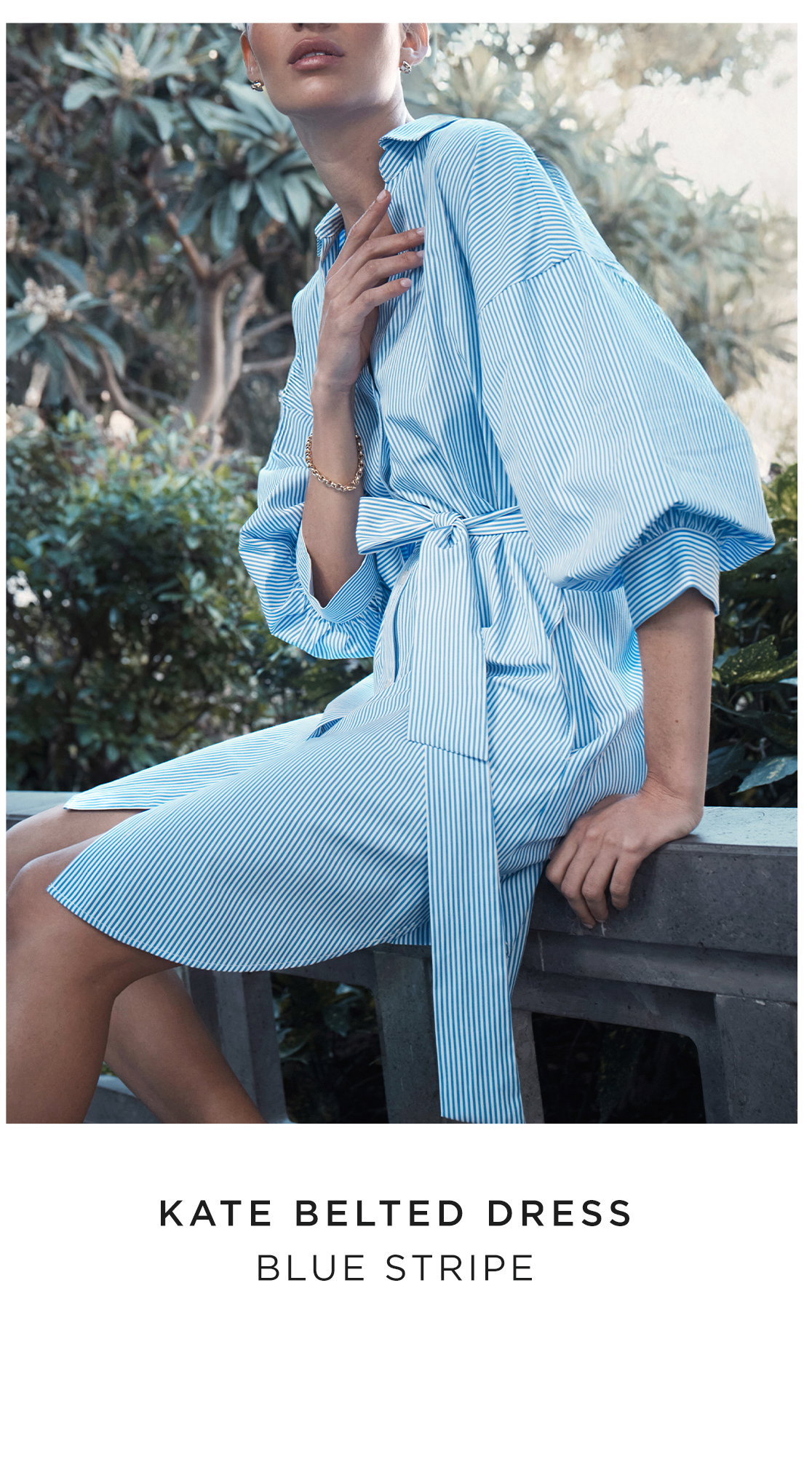 Kate Belted Dress in Blue Stripe