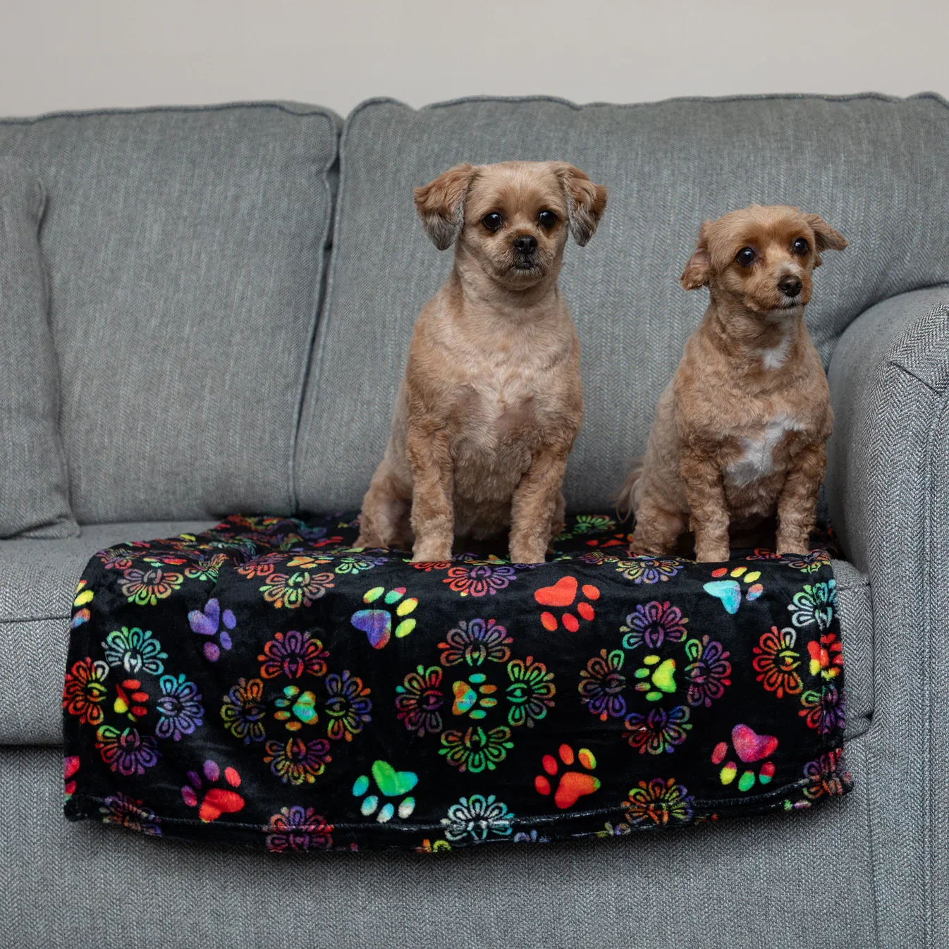 Super Cozy™ Pet Blanket