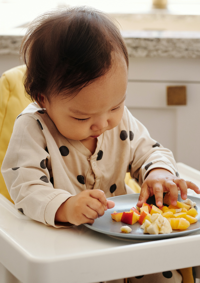baby in a high chair