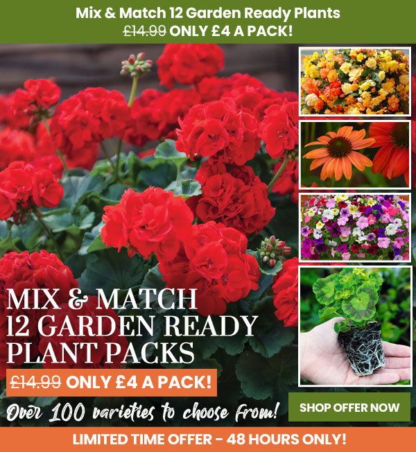 Garden Ready Mix & Match