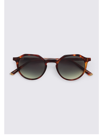 Tortoise Oxford Sunglasses