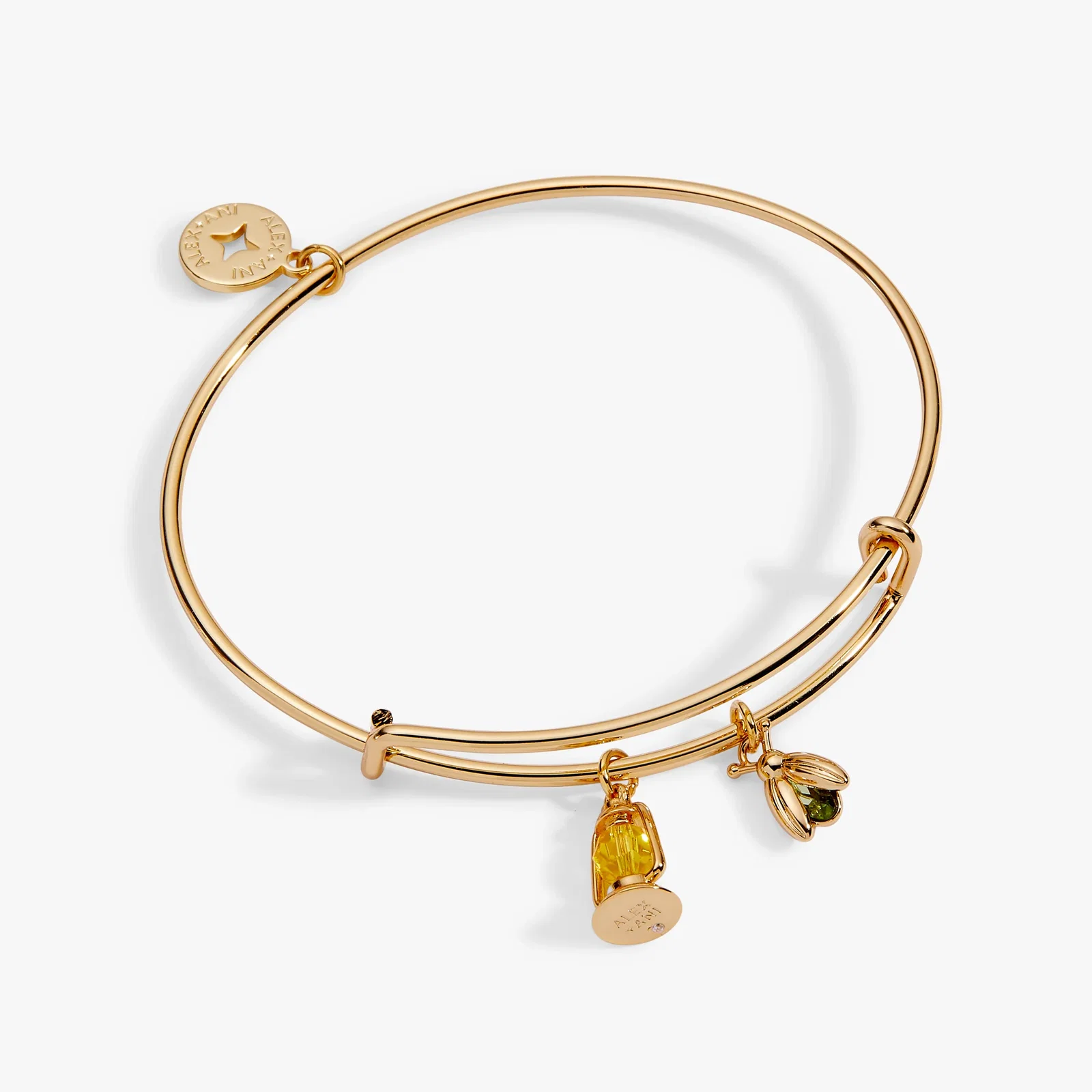 Image of Firefly Lantern Charm Bangle
