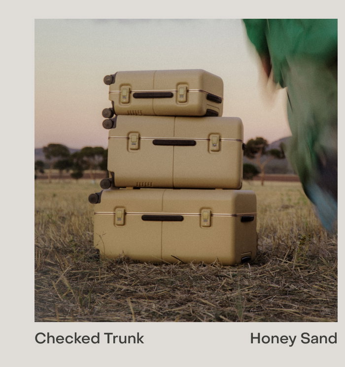 Checked Trunk Honey Sand