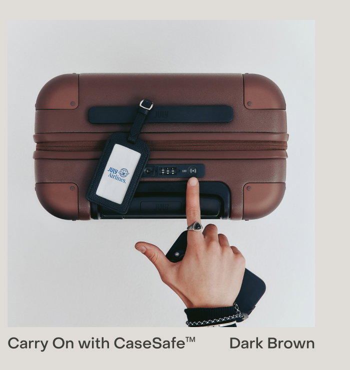 Carry On with CaseSafe Dark Brown
