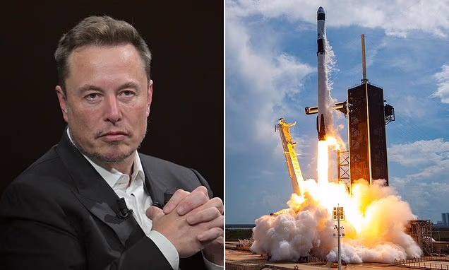 Should you buy SpaceX? Experts predict what will happen to the share price - and whether you should try to profit or avoid it