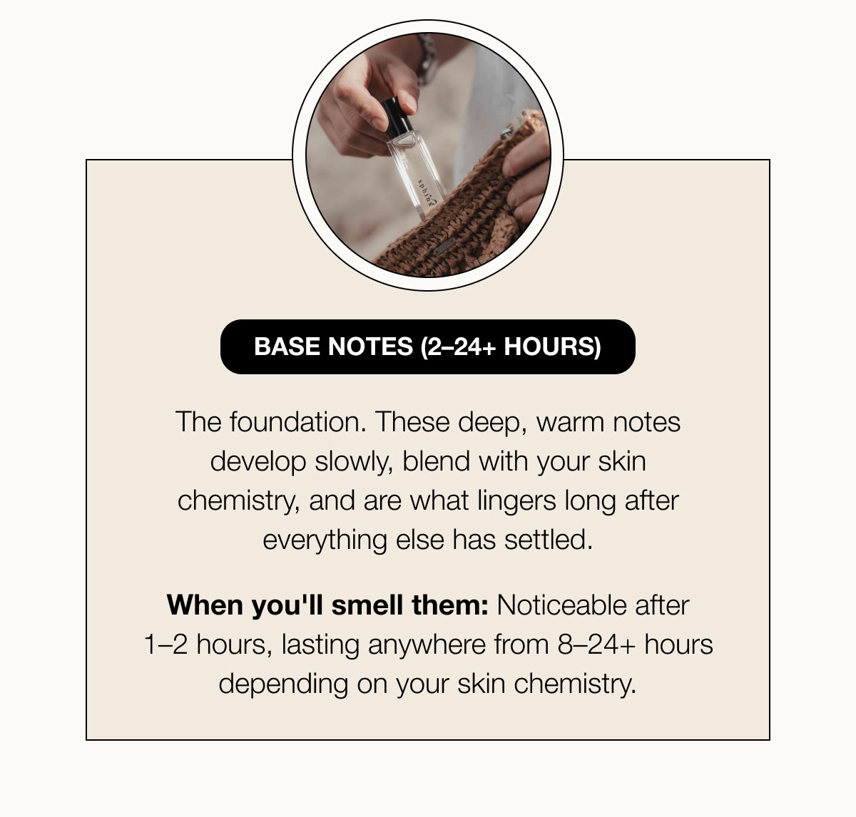 Base Notes (2–24+ Hours) The foundation. These deep, warm notes develop slowly, blend with your skin chemistry, and are what lingers long after everything else has settled.  When you'll smell them: Noticeable after 1–2 hours, lasting anywhere from 8–24+ hours depending on your skin chemistry.