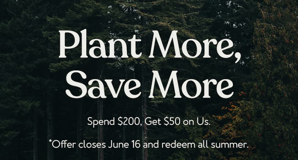 Spend $200, Get $50 on Us.