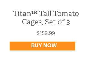 TItan Tall Tomato Cages, Set of 3 - $159.99 - BUY NOW