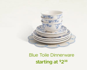 Blue Toile Dinnerware