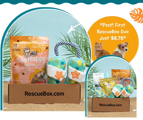 First RescueBox Duo is Just $8.78. | collage of RescueBoxes
