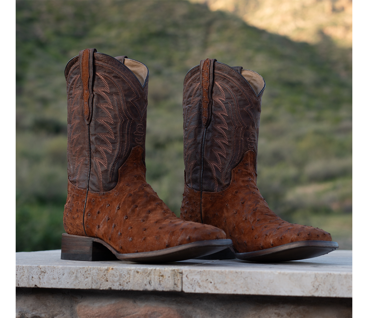 EXOTIC BOOTS