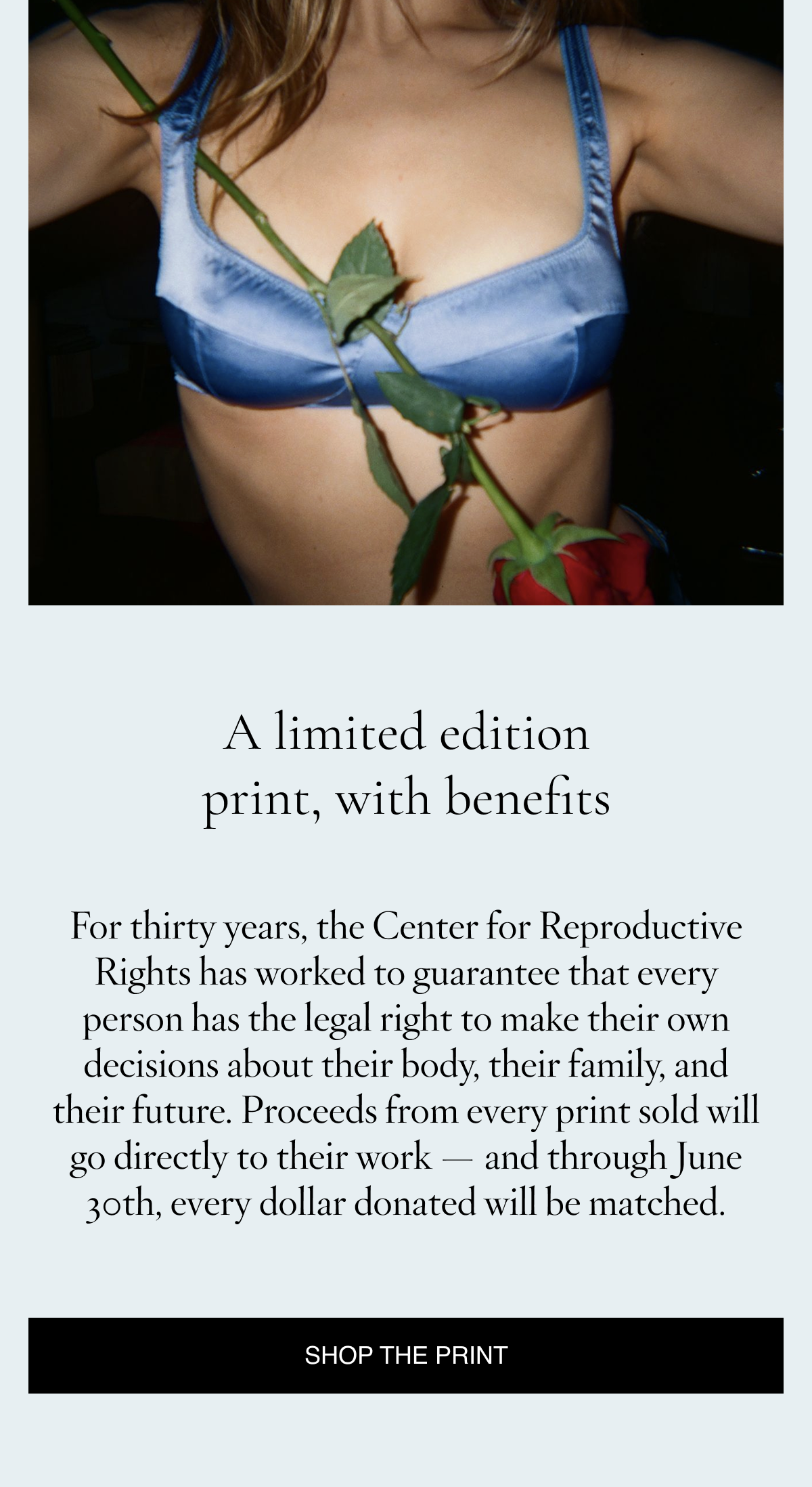 Shop the print