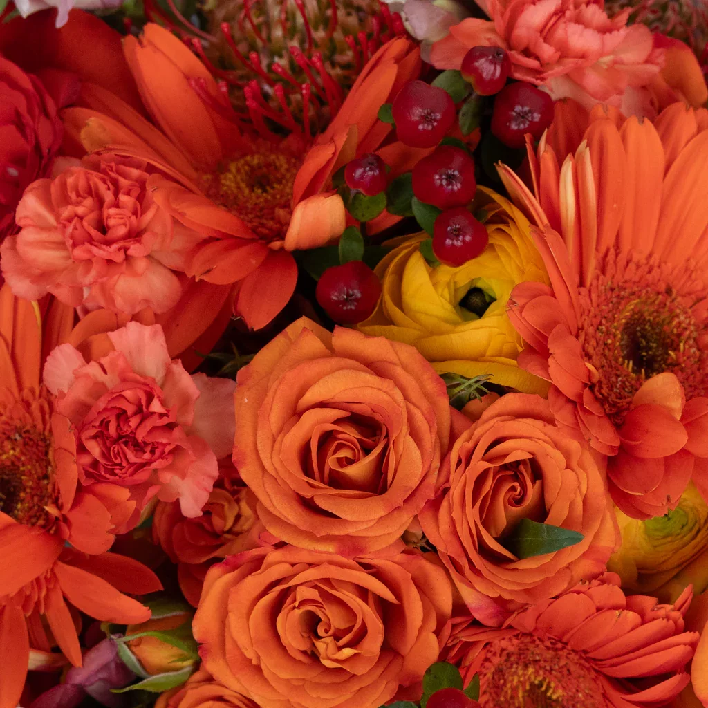 Image of Persimmon Orange DIY Flower Kit