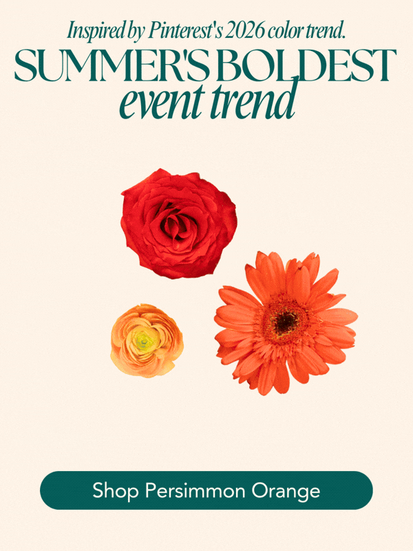 Pinterest Palette: Persimmon Orange