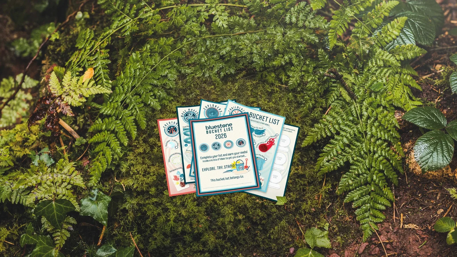 The bluestone bucket list in a forest