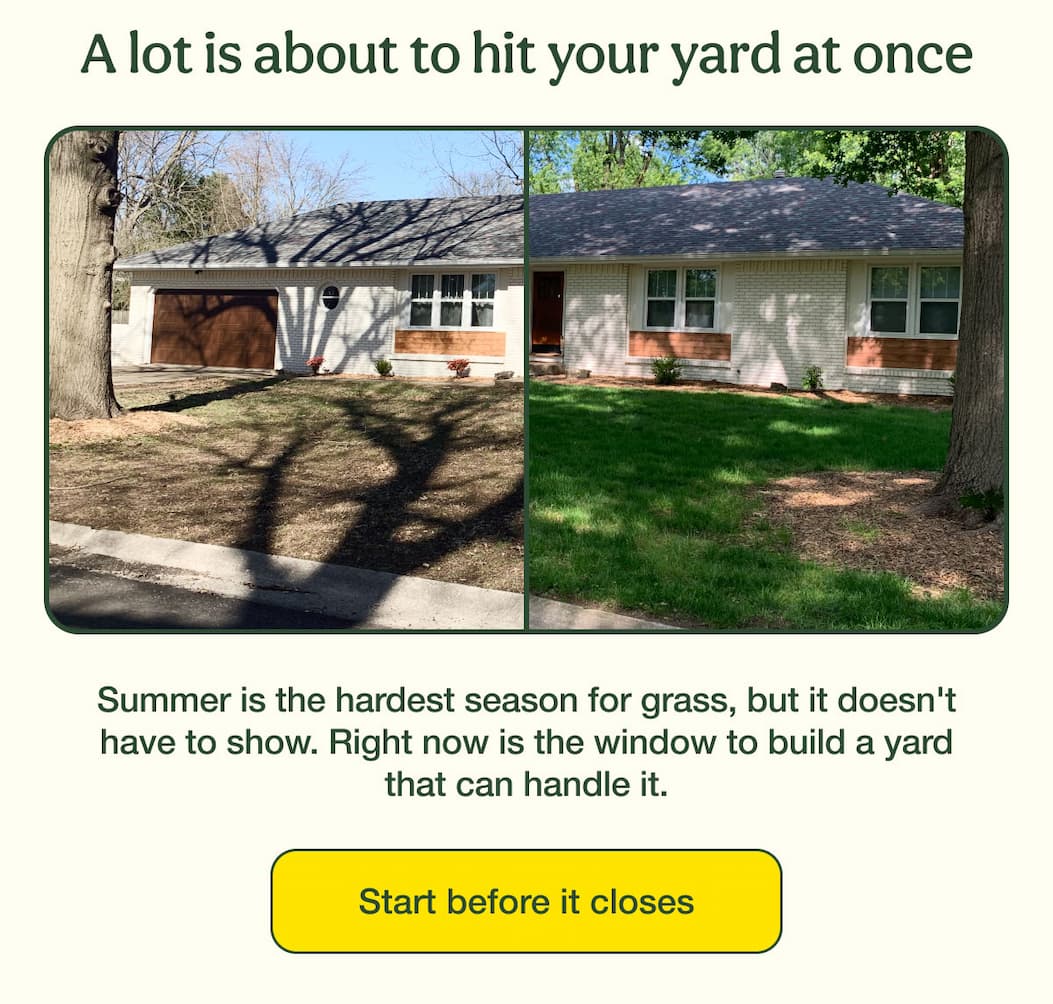 A lot is about to hit your yard at once | Start before it closes