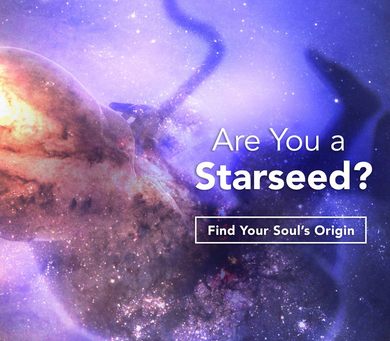 Starseed Feature Image