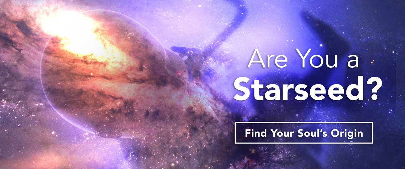 Starseed Feature Image