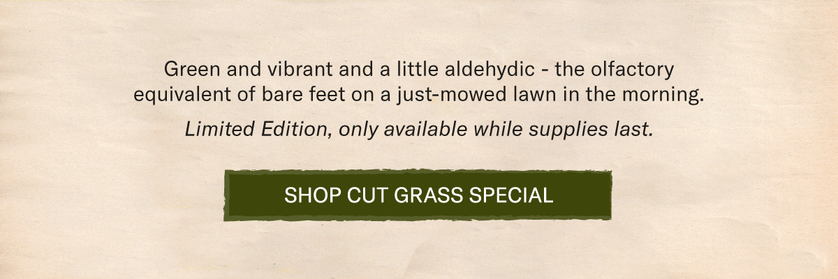 Green and vibrant and a little aldehydic - the olfactory equivalent of bare feet on a just-mowed lawn in the morning.  Limited Edition, only available while supplies last.  [SHOP CUT GRASS SPECIAL]